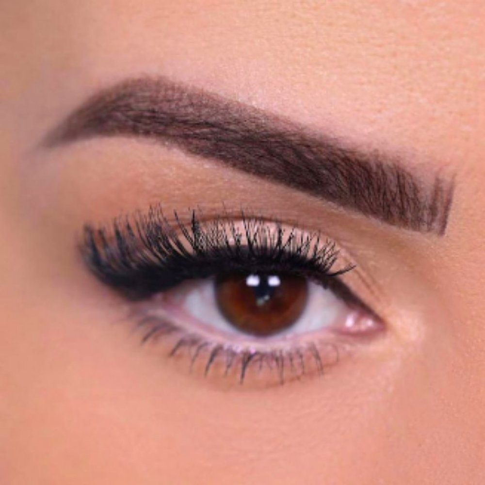๐ NIB ๐ Norvina false lashes ELEGANZA - Picture 2 of 5